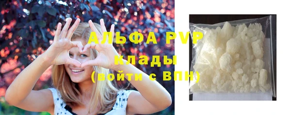гидра Надым