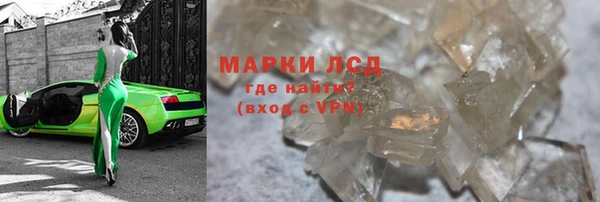 гидра Надым