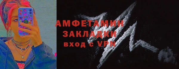 гидра Надым