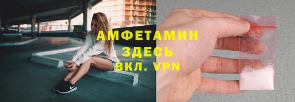 гидра Надым