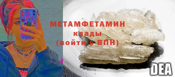 гидра Надым