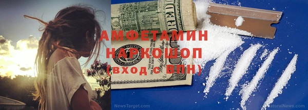 гидра Надым