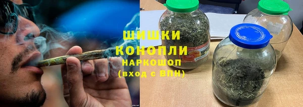 гидра Надым